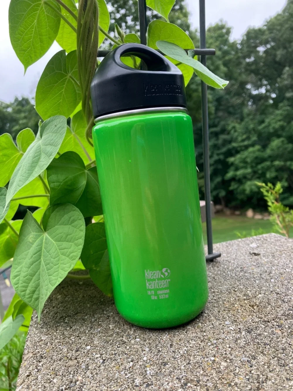 Klean Kanteen Classic 18 oz Stainless Bottle - Green
